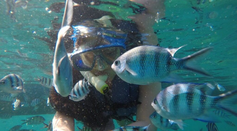 Gambar WhatsApp 2025-09-12 pukul 12.26.48_cb4c4069